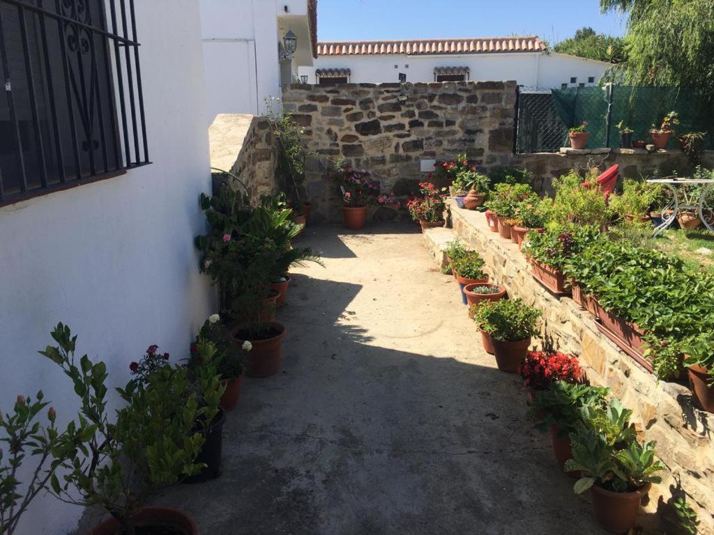 Apartamento Las Adelfas Tarifa Bagian luar foto